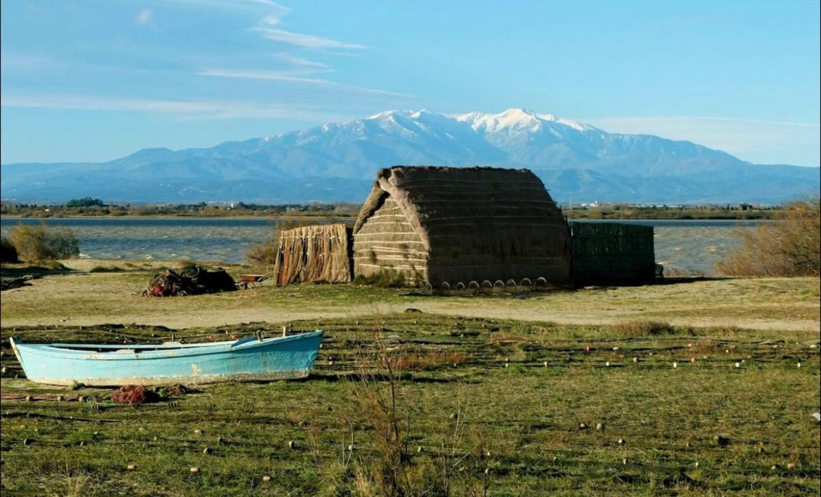 A 200M De La Mer Super Logement Cocoon Canet-en-Roussillon Dış mekan fotoğraf
